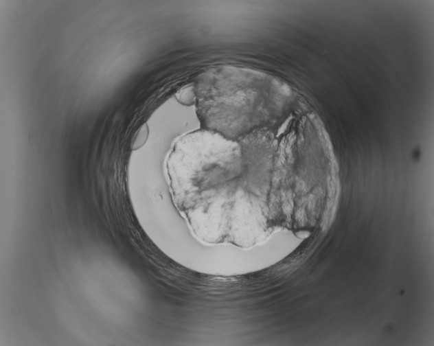 X0000115220189200912091229