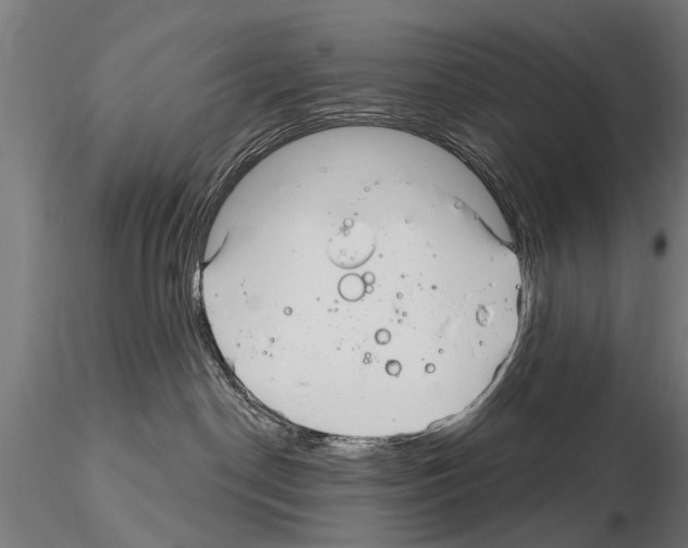 X0000115220190200912091229