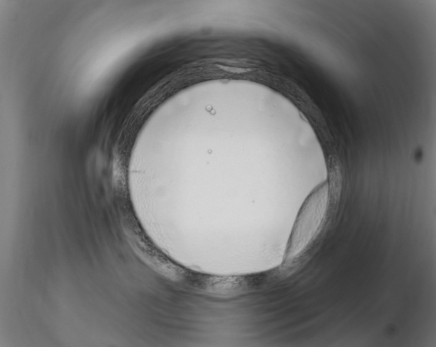 X0000115220191200912091229