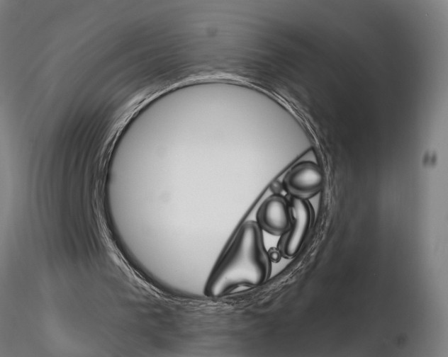 X0000115220193200912091229