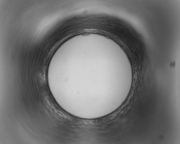 X0000115220194200912091229