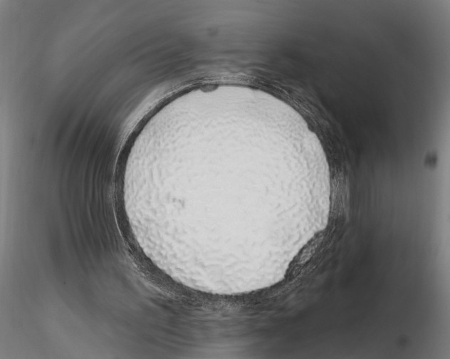 X0000115220195200912091229