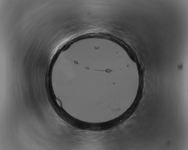 X0000115220196200912091229