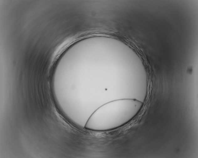 X0000115220197200912091229