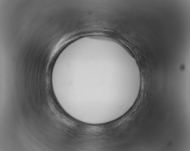 X0000115220198200912091229