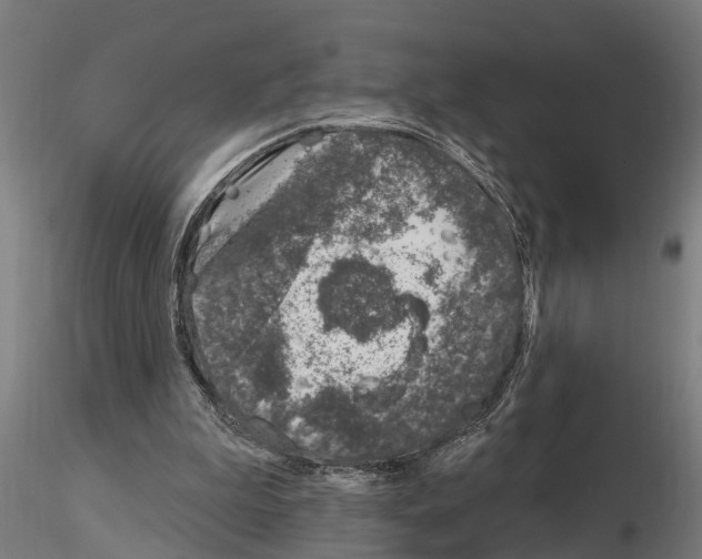 X0000115220199200912091229