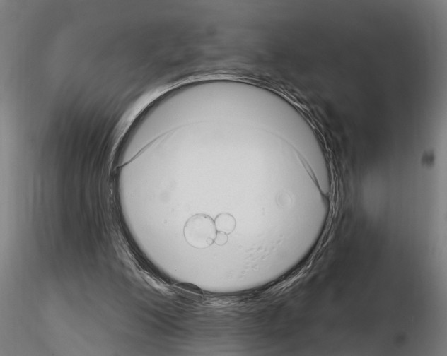 X0000115220200200912091229