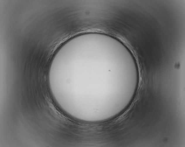 X0000115220201200912091229