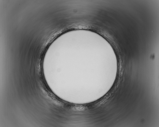 X0000115220202200912091229