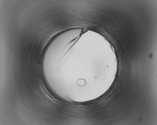 X0000115220203200912091229