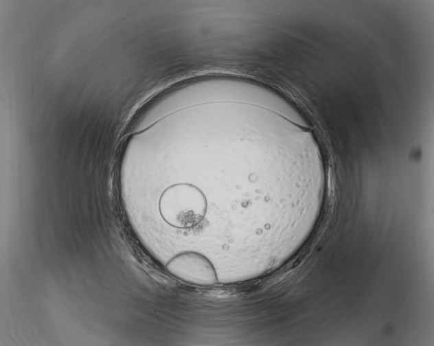 X0000115220204200912091229