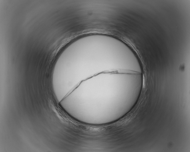 X0000115220205200912091229