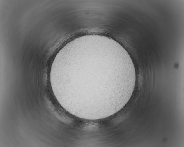 X0000115220206200912091229