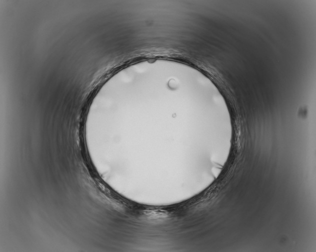 X0000115220207200912091229