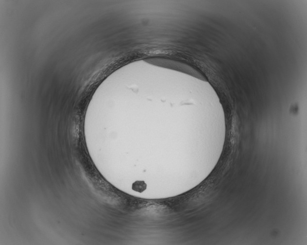 X0000115220210200912091228