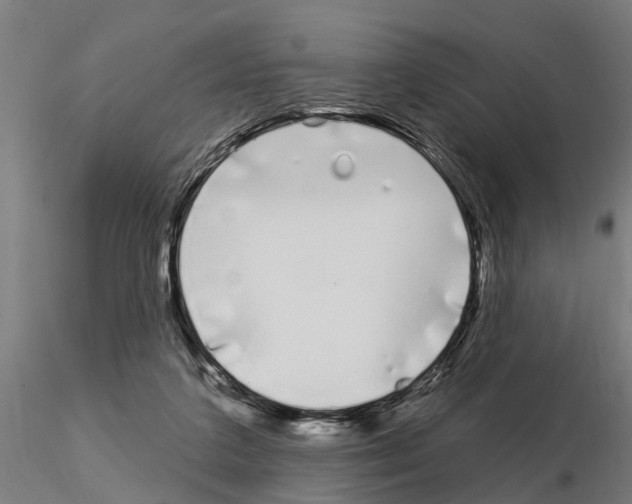 X0000115220211200912091228