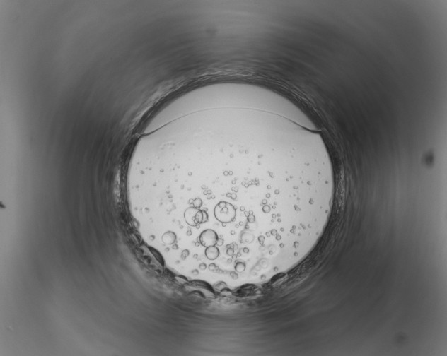 X0000115220212200912091228