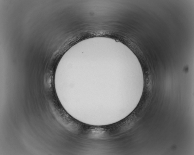 X0000115220214200912091228