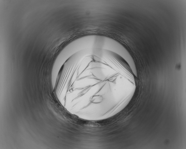 X0000115220215200912091228