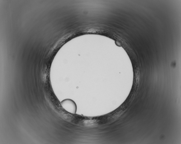 X0000115220216200912091228