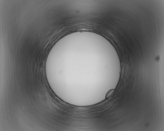 X0000115220217200912091228