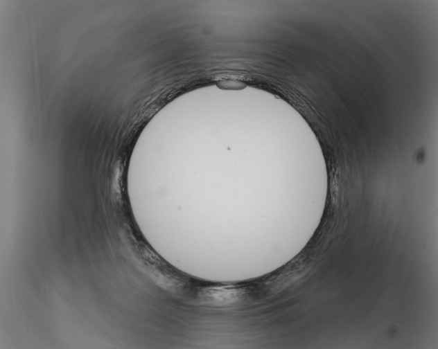 X0000115220219200912091228