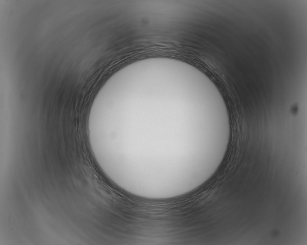 X0000115220221200912091228