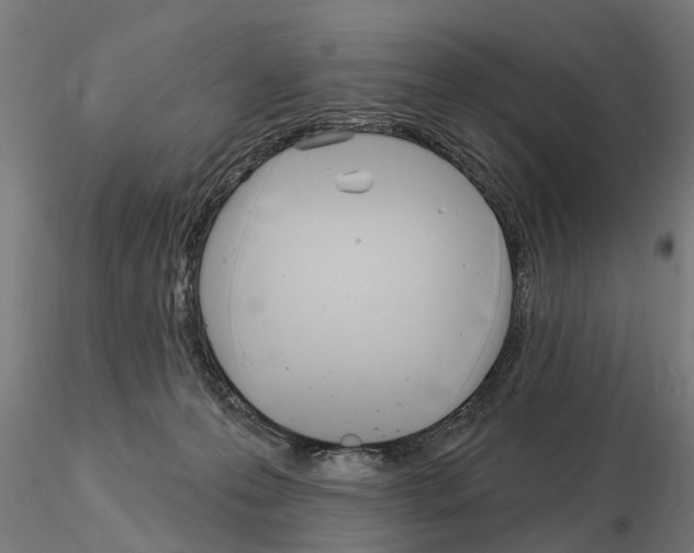 X0000115220223200912091228