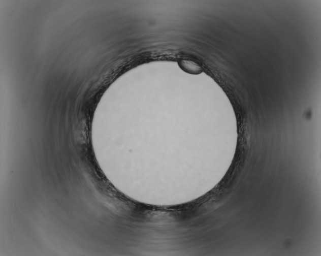 X0000115220224200912091228