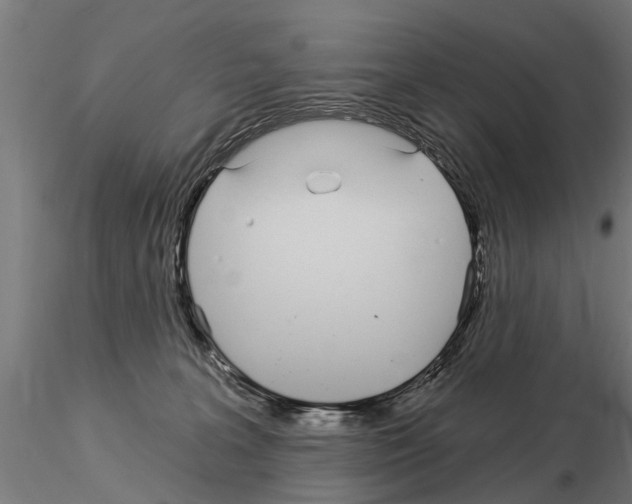 X0000115220227200912091228