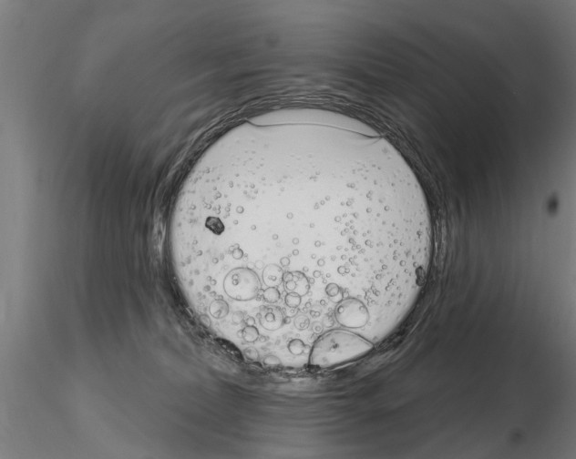 X0000115220228200912091228