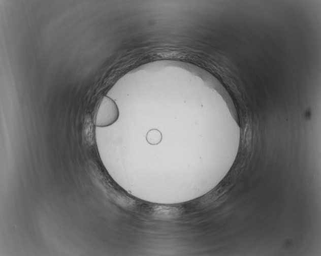 X0000115220234200912091228