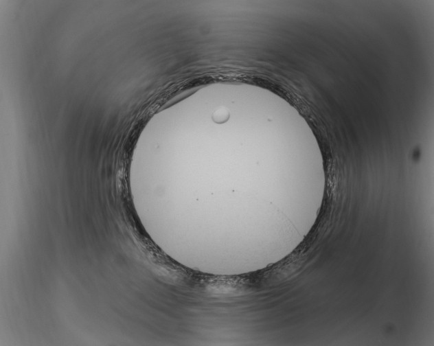 X0000115220235200912091228