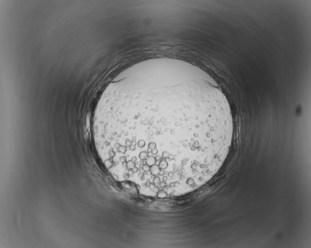 X0000115220236200912091228