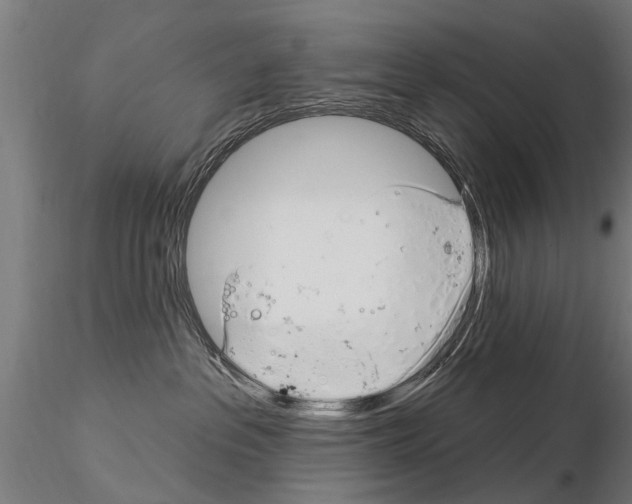 X0000115220237200912091228