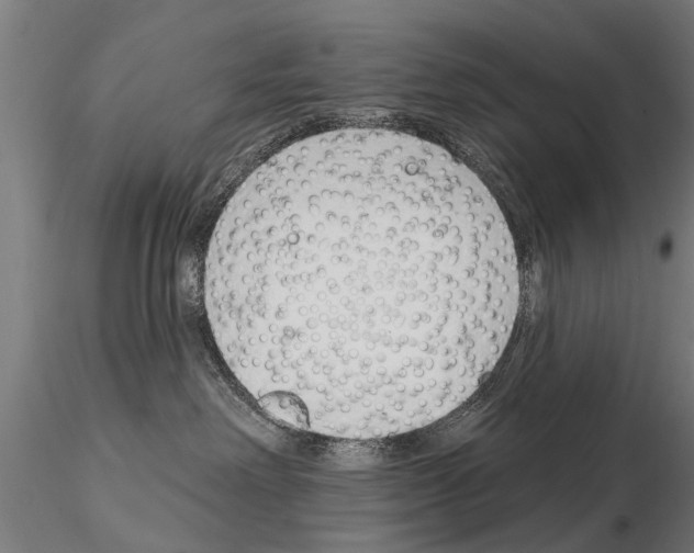 X0000115220238200912091228