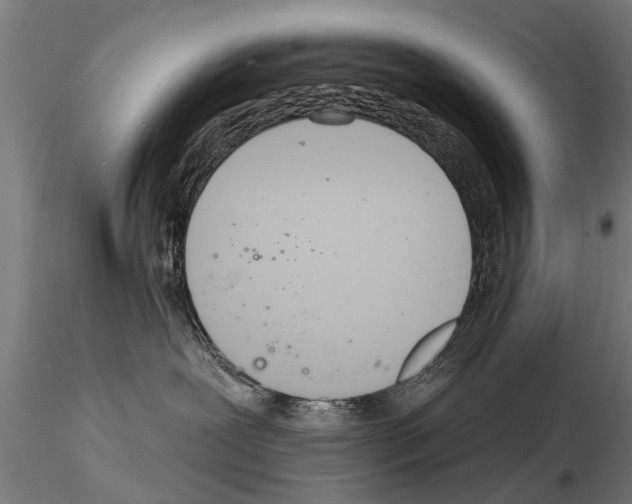 X0000115220239200912091228