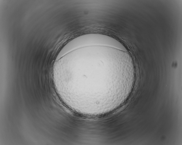 X0000115220240200912091228