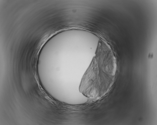 X0000115220241200912091227