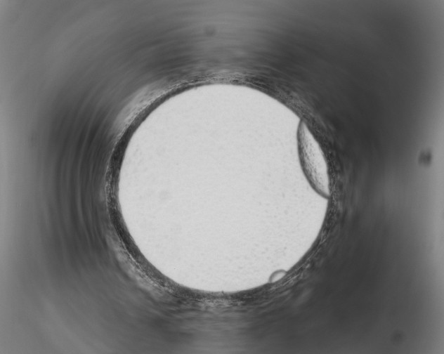 X0000115220242200912091227