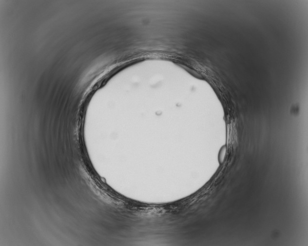 X0000115220243200912091227