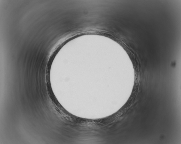 X0000115220244200912091227