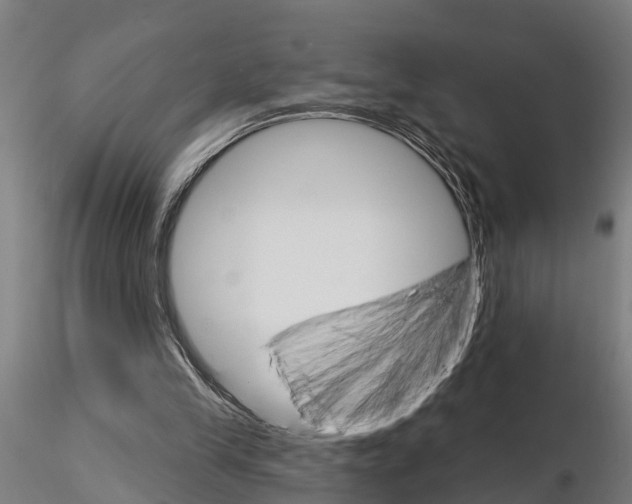 X0000115220245200912091227