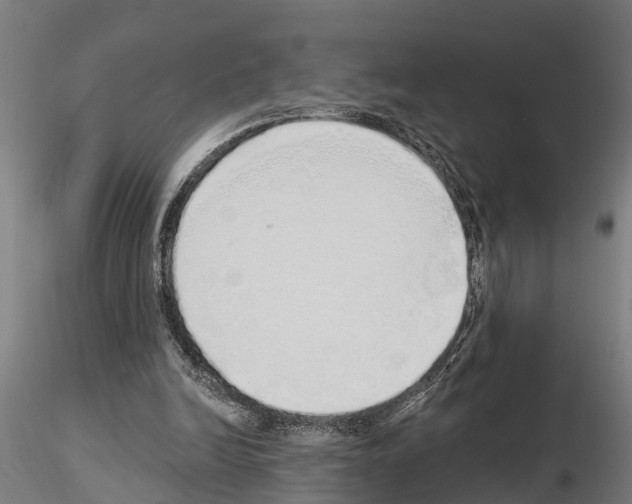 X0000115220246200912091227