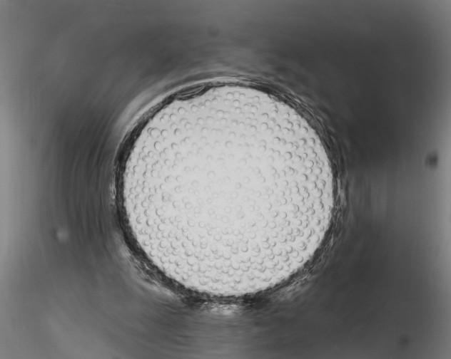 X0000115220247200912091227