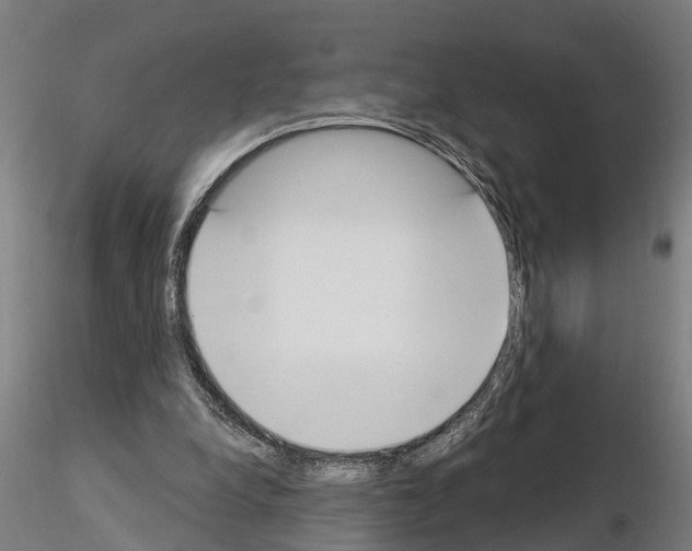 X0000115220248200912091227