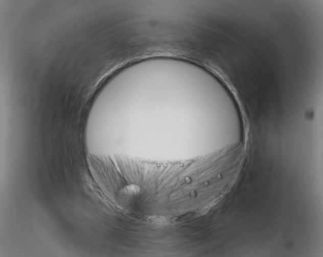 X0000115220249200912091227