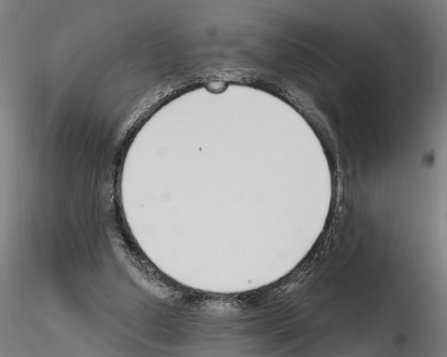 X0000115220250200912091227