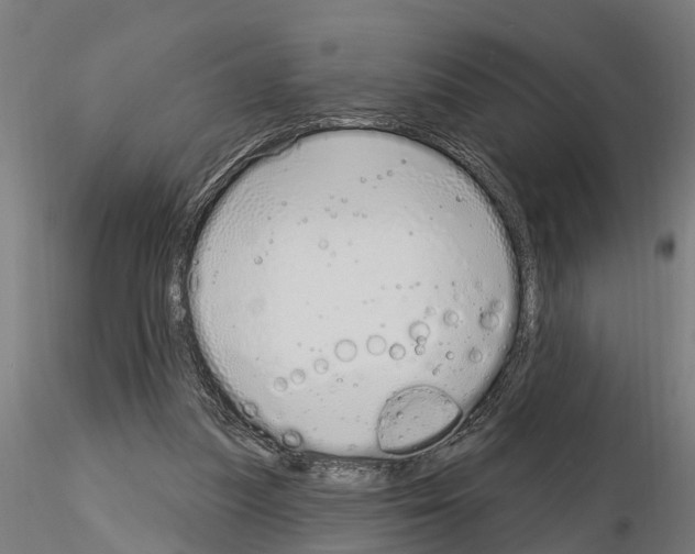 X0000115220251200912091227