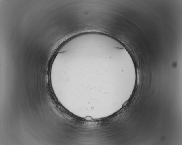 X0000115220252200912091227